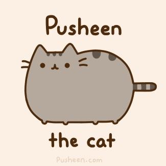 pusheen fluffy cat