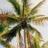 castano_ethan's profile image