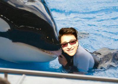 I love Whales No seriously I fucking love whales