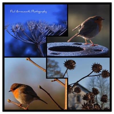 Landscape photographer, Cheshire. My current project, Seasons in Styal, documents the changing landscape in & around #Styal village through the seasons. #Canon