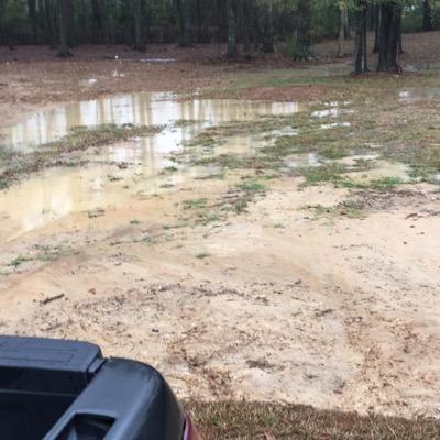 ErrolMatthews's profile picture. Good person!