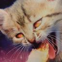 tabitha gilmore - @bloomskitten61 - Twitter