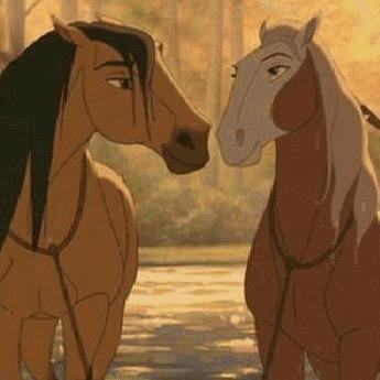 im Rain #OfficialHorseRain Needs Owner