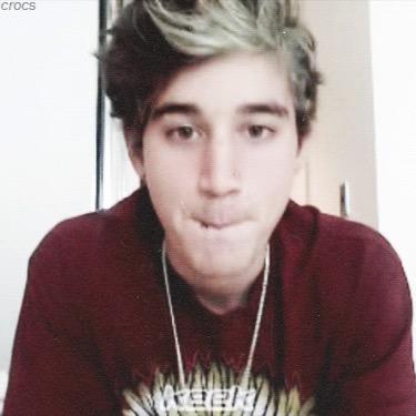 i am 12 year old fangirl . i also like pizza. you?
