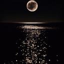 Om Raneem♧ (@11Fantastic1146) Twitter