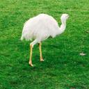 Becky Rowe - @Browezer - Twitter