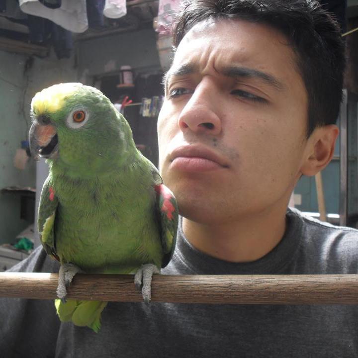 Estudiante.
Lector asiduo de la solapa de los libros.
Opiniones personales.