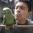 felgat91's profile image