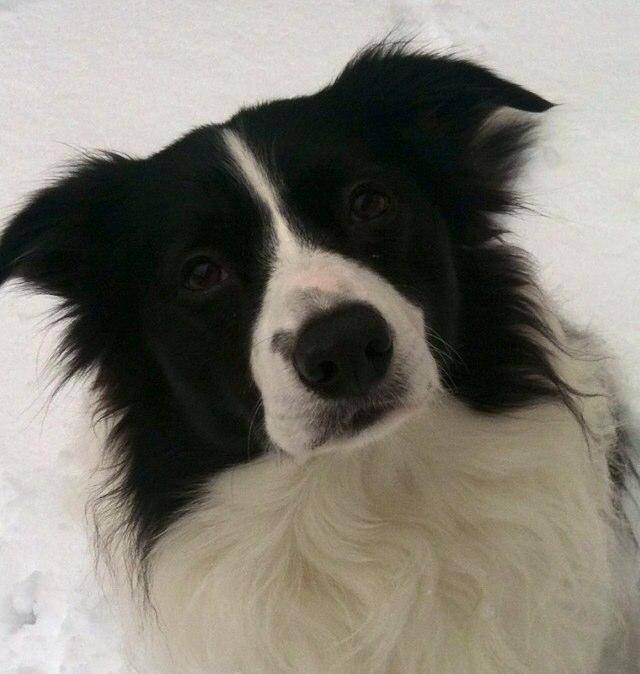 Davina111111's profile picture. 