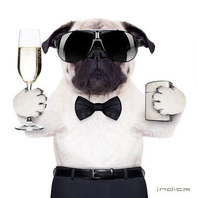 carlosh51385267's profile picture. 