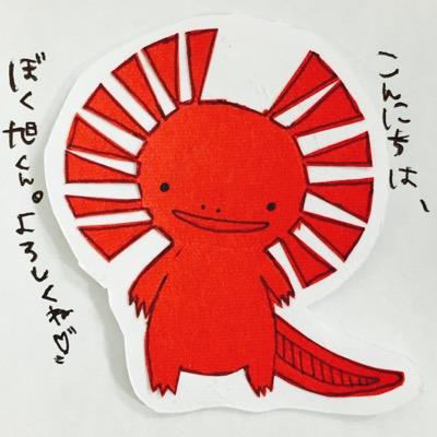 AsahiyaSinkosi Profile Picture