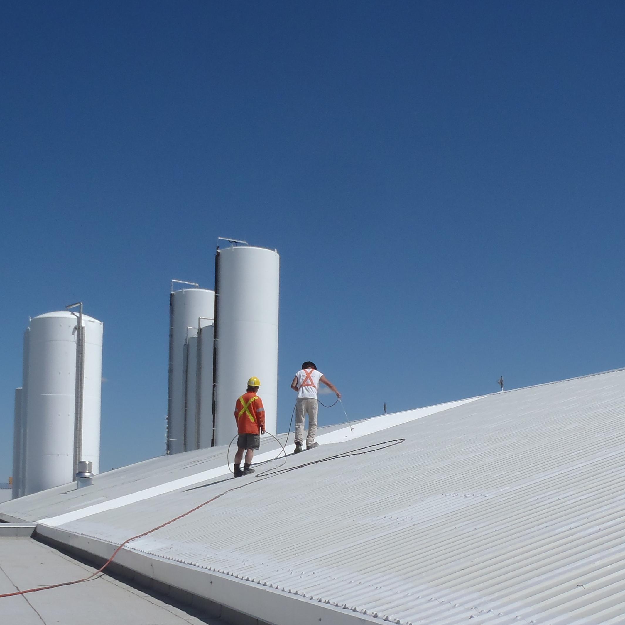 RoofArmour's profile picture. 