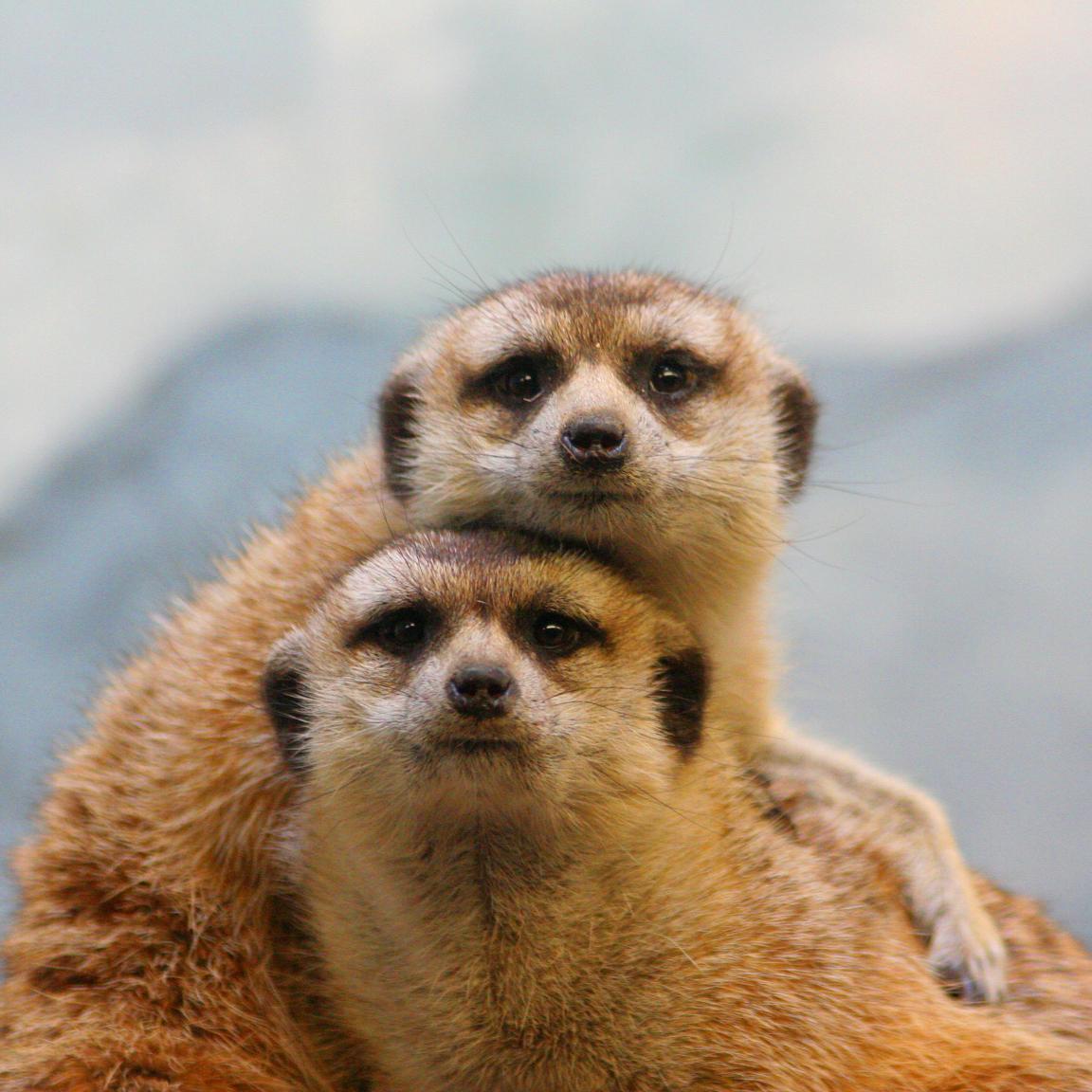 LynnVar's profile picture. #UW graduate | francophile, travel, startups, Seattle, fun seeker, adventures