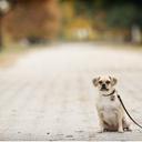 Hannah Kaufman - @hskaufman86 - Twitter