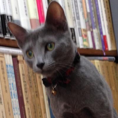 西神田の古本屋。酒井抱一生誕の地にて年中無休営業(不定休あり)。犬と猫が好き。カレーとラーメンと焼き肉が好き。一日一点目録の問い合わせ、注文は、ツイッター(DMでも)がベストっす。