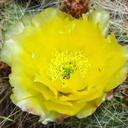 Michael Oberdorf - @mtoinc23 - Twitter