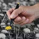 ما لي سواك - @mohammad_bazzi1 - Twitter