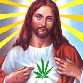 follow for amazing pictuers of weed! i follow back! Stoners are welcome! stonerforlife #bud I dont take credit for any pictures i post