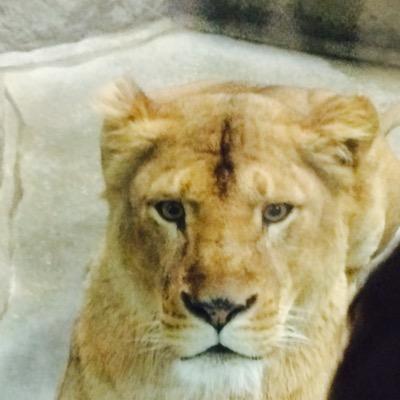 papermachine's profile picture. 