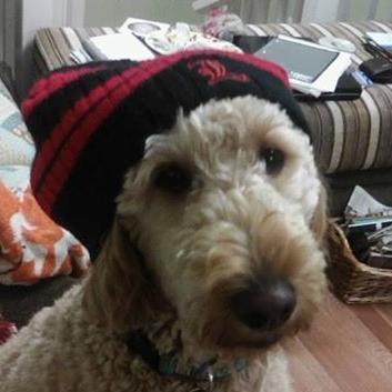 SMWHIT1991's profile picture. It me. *My tweets do not represent my employer*