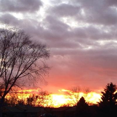 tappaloosa's profile picture. 