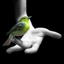 yolanda hoffman - @yolyhoffman15 - Twitter