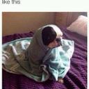 Lisa Rhea - @rhea_lisa - Twitter