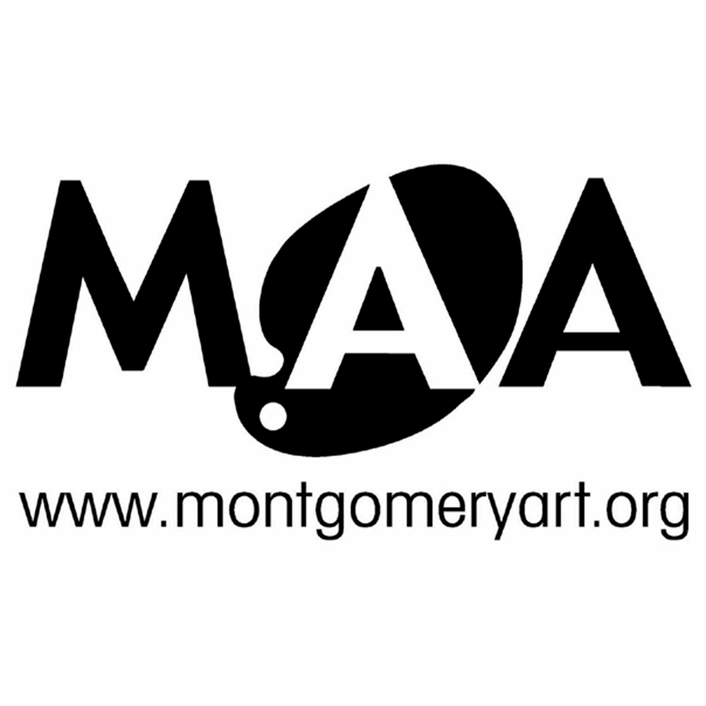 MAA members come from the entire DC metropolitan area to network with other artists and learn how others are solving art related challenges.