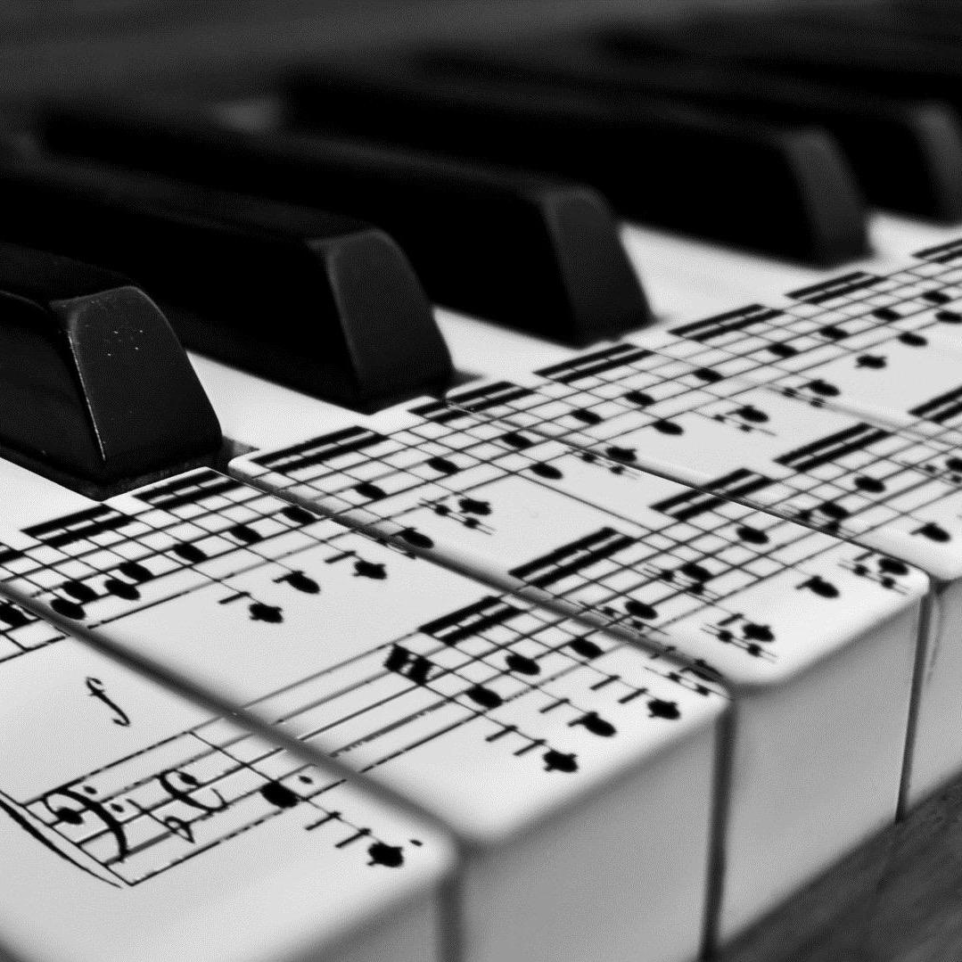 yycmusicschool's profile picture. South Calgary Music School prides itself on offering the best quality lessons, encouraging students to have musical goals in a comfortable learning environment.