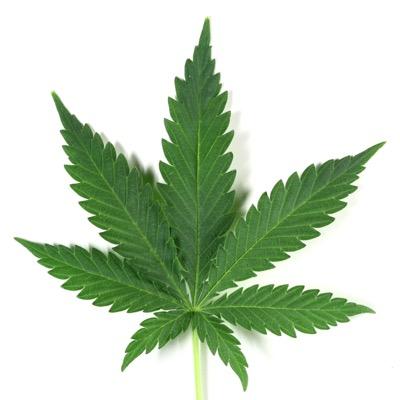 booty and weed