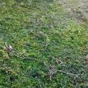 Augusto Delgado - @alancuas2014 - Twitter