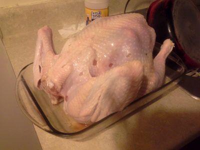 turkeyleg1079's profile picture. 