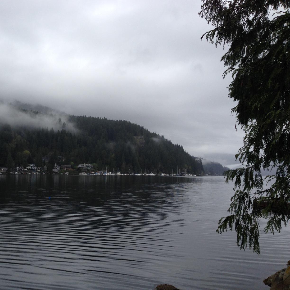 mygeostrategies's profile picture. 