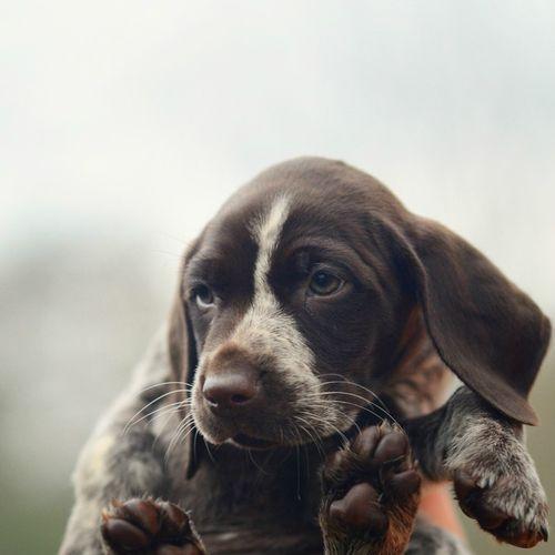 othill80's profile picture. 