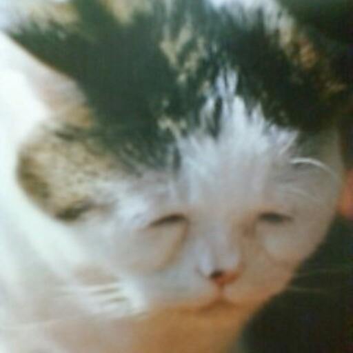 micthan0719's profile picture. iOS、Androidエンジニア。ボクシングとゲームが趣味。
個人ではこんなアプリを作ってます。
https://t.co/I9aHtrabML