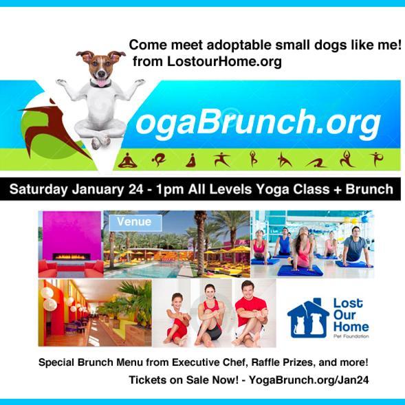 yogabrunch's profile picture. Hello! Join us :) #Adventures in #yoga #healthy #brunch #recipes #animalrescue #petadoption #nonprofit #lifestyle #events in #Phx #AZ #Inspire 2015!