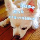 白狐 (@00920Milj) Twitter