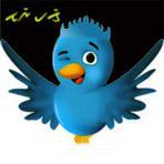 Talangpadang_'s profile picture. 