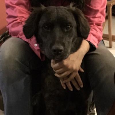 Shiringul's profile picture. Life is fun, evolving, amusing...not since 16.12.14 :/