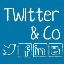 Wij organiseren de Twitter&Co-cursus voor ondernemers en zorgverleners: in 5 avonden praktisch en effectief aan de slag met twitter, facebook, linkedin en blog.