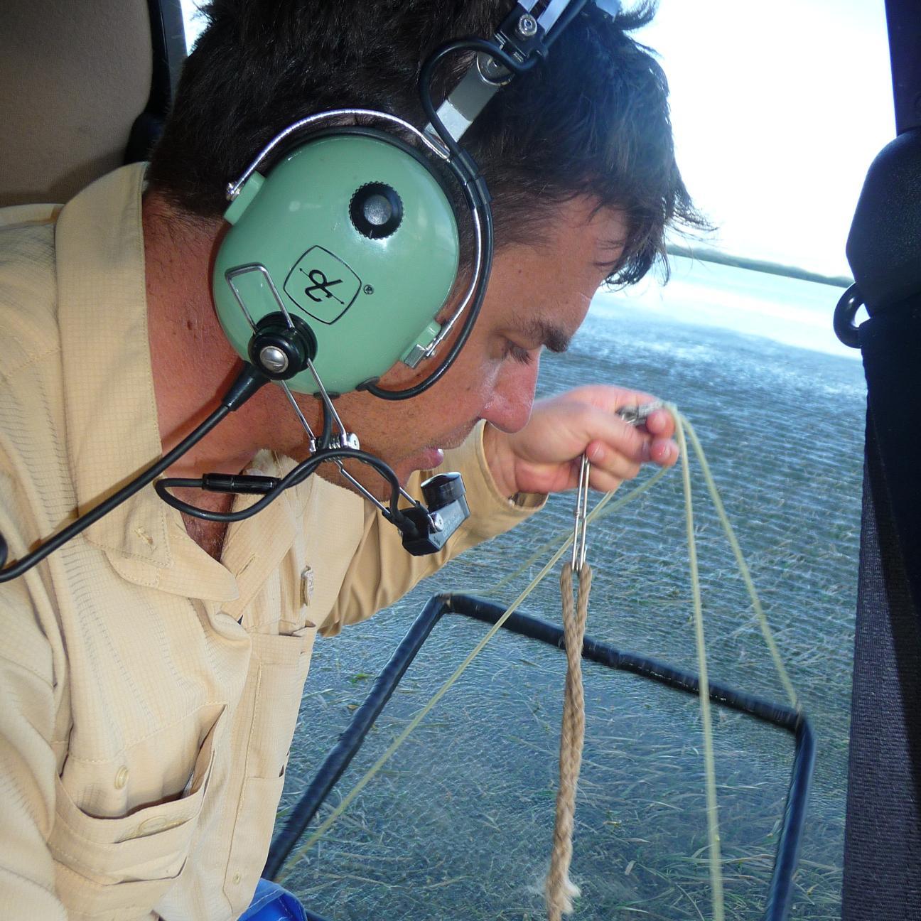 marine ecologist researching coastal marine habitats, #seagrass @SeagrassEcology