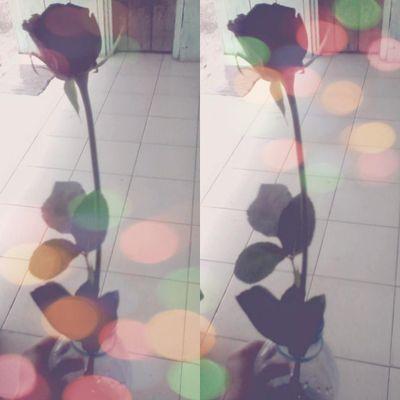 My pin: 57CA3D63
Ig: inayah1602
JustMentionForFollback;;)
