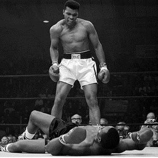 todpall37272's profile picture. past 11weeks: 75-43 #FAKEFA