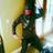 mybabywes08's profile image