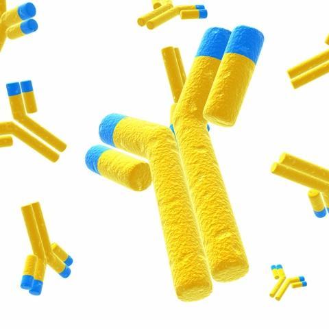 AntibodiesSteve's profile picture. 