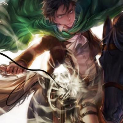 I am Levi Ackerman, I'm one of the leading soilders in the Survey Corps. I'm also the leader of the Special Operation Squad.