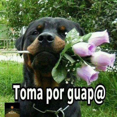 La vida no esta para comprenderla. Esta para vivirla!!!!!!!
Animalista, Defiendo y amo a los animales.