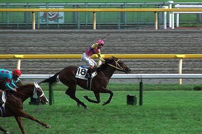 競馬好き、ドラマ好き、卓球好き、ドライブ好き、次期農業経営者、愛車はメルセデスベンツB180スポーツ＆Perfume of Love