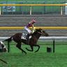 alttzza1's profile picture. 競馬好き、ドラマ好き、卓球好き、ドライブ好き、次期農業経営者、愛車はメルセデスベンツB180スポーツ＆Perfume of Love
