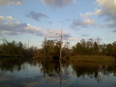 504eBee's profile picture. 